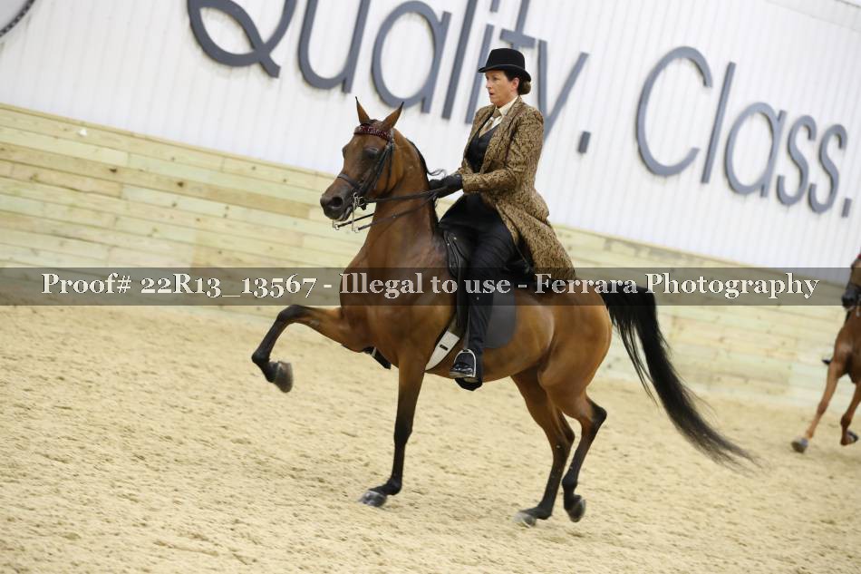 Proof 22R13_13567