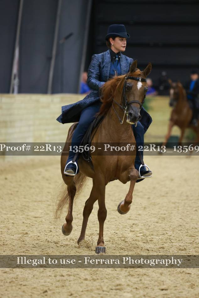 Proof 22R13_13569