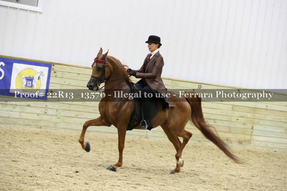 Proof 22R13_13570