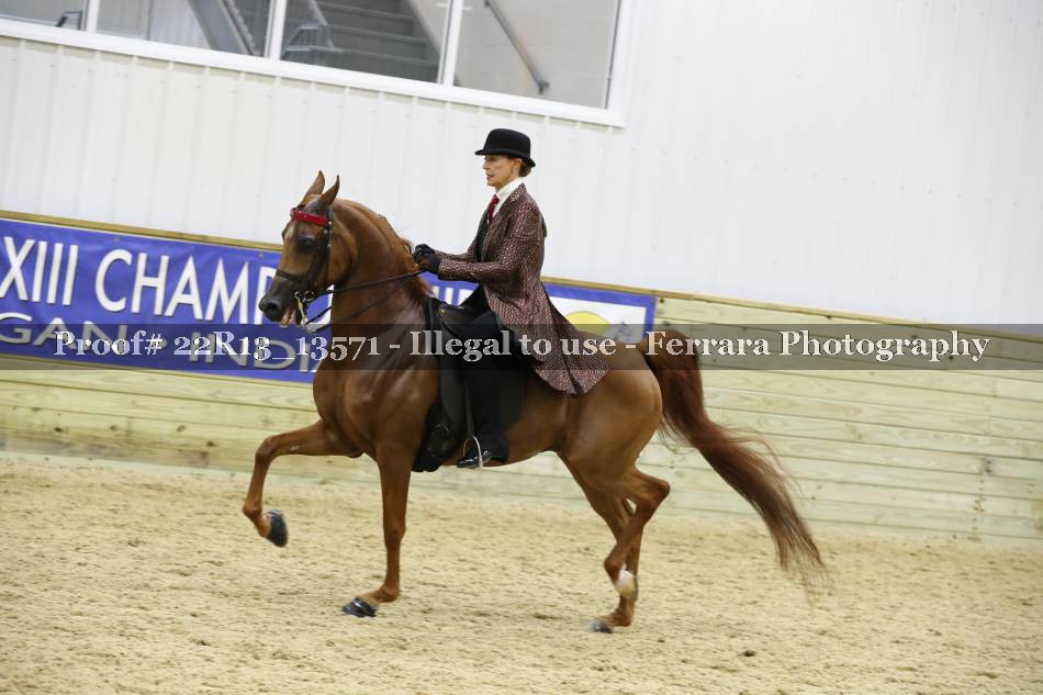 Proof 22R13_13571