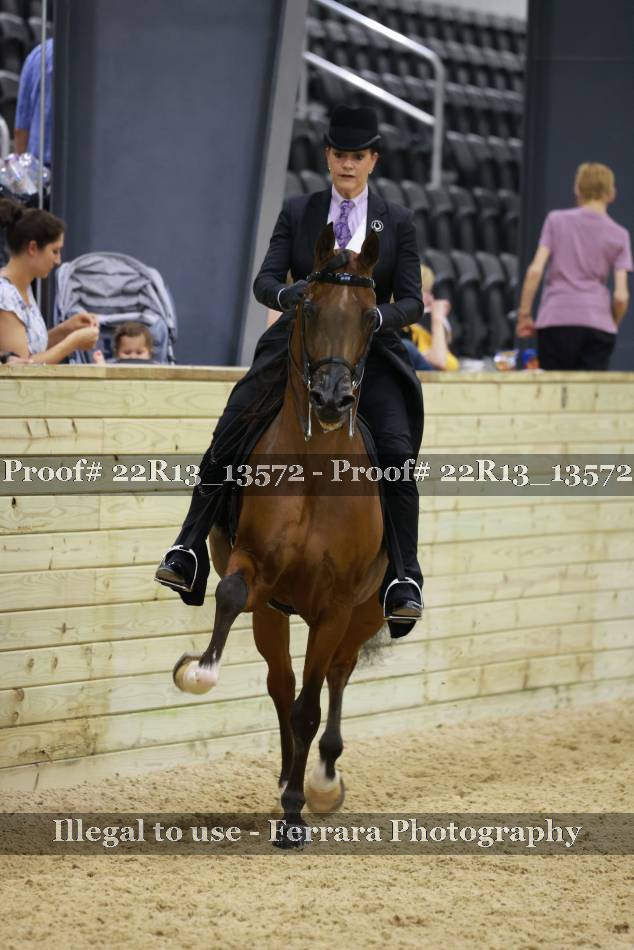 Proof 22R13_13572