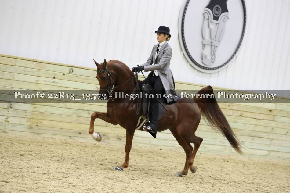 Proof 22R13_13573
