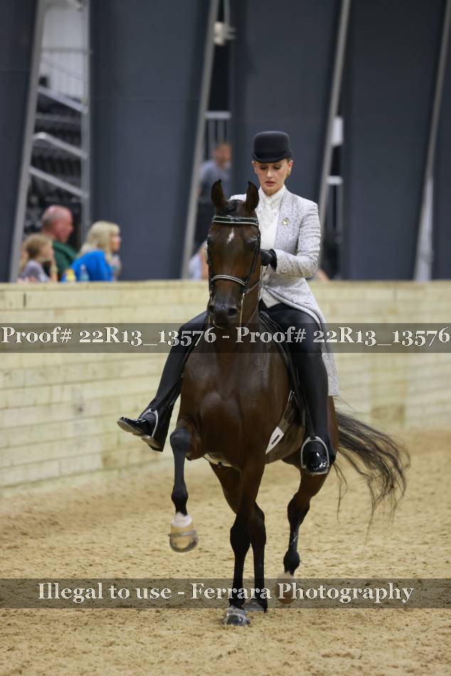 Proof 22R13_13576