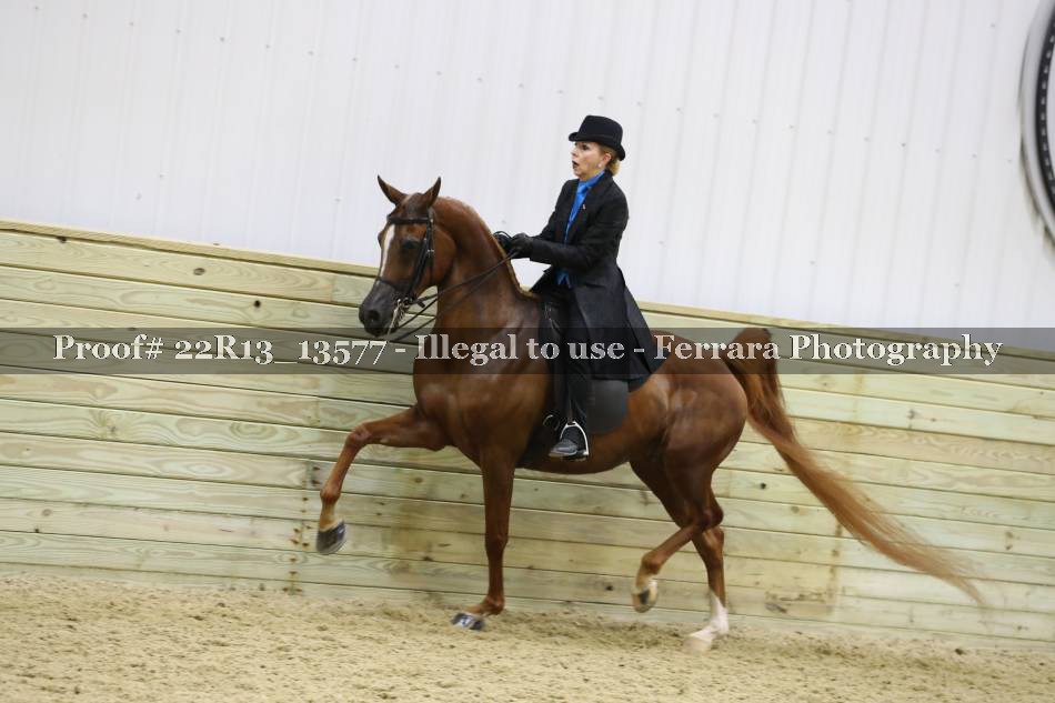 Proof 22R13_13577