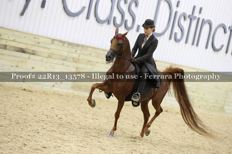Proof 22R13_13578