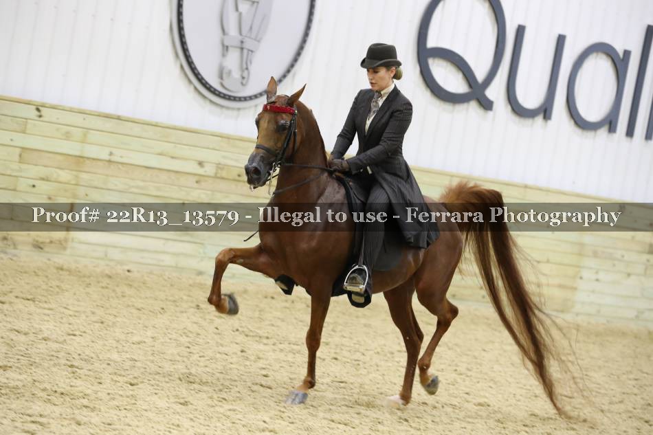 Proof 22R13_13579