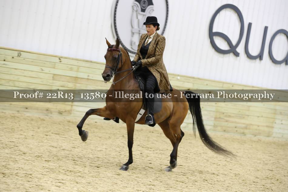 Proof 22R13_13580