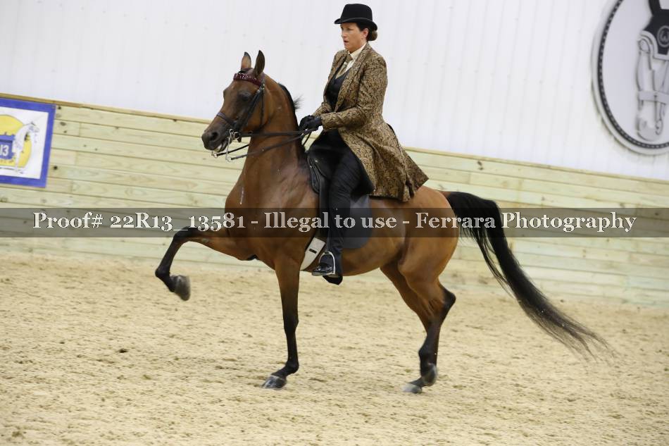 Proof 22R13_13581