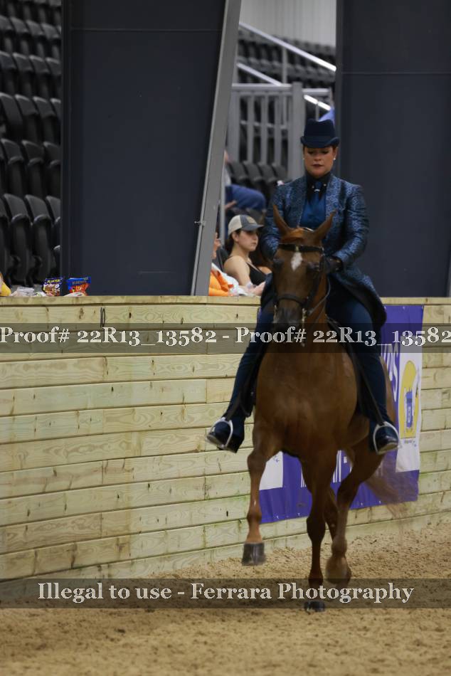 Proof 22R13_13582