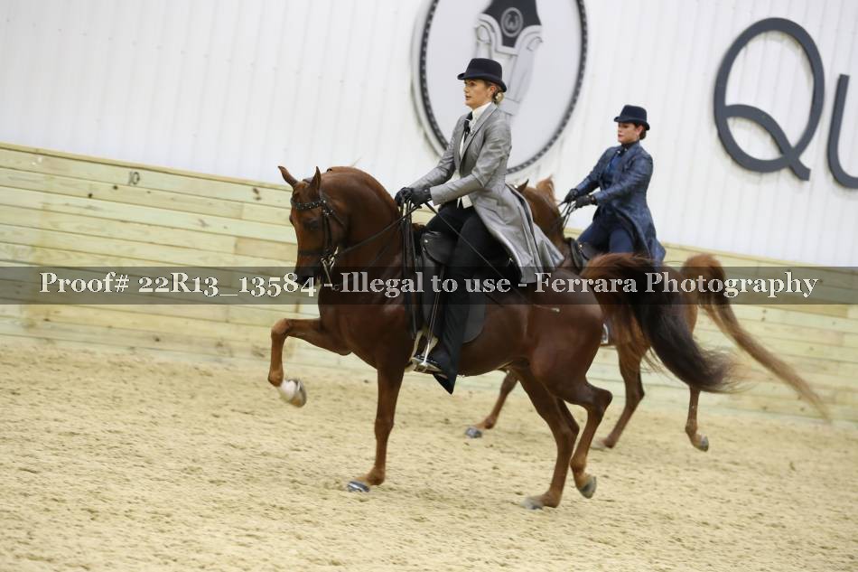 Proof 22R13_13584