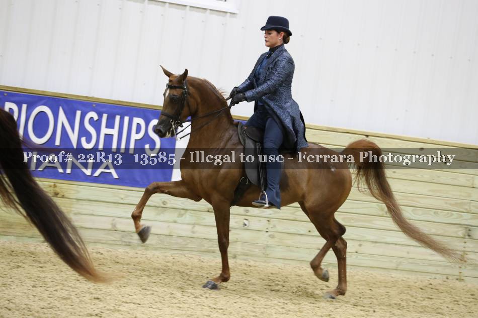 Proof 22R13_13585