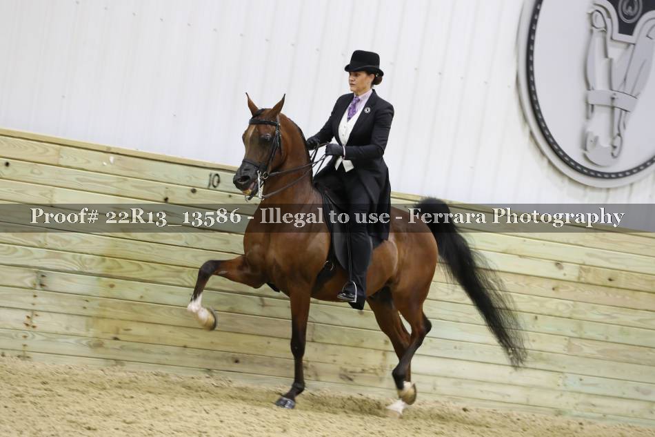 Proof 22R13_13586