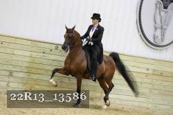 22R13_13586 proof