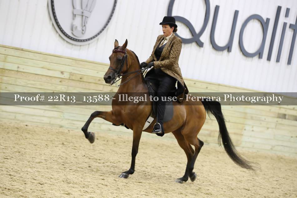 Proof 22R13_13588