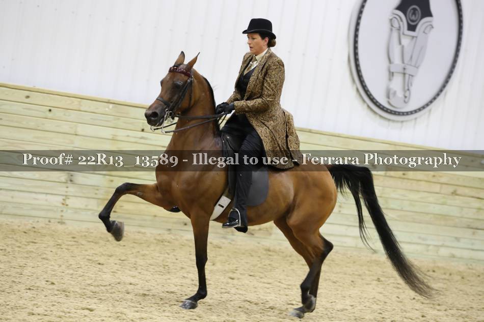 Proof 22R13_13589