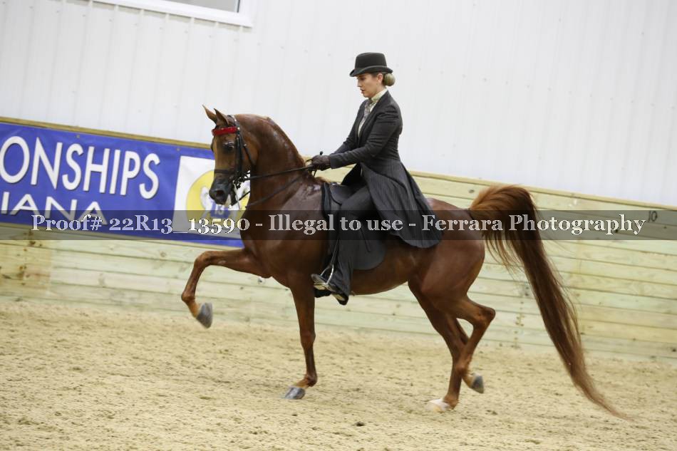 Proof 22R13_13590