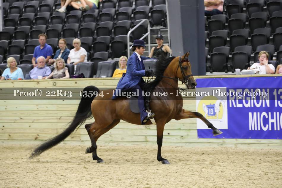 Proof 22R13_13594