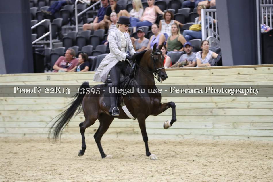 Proof 22R13_13595