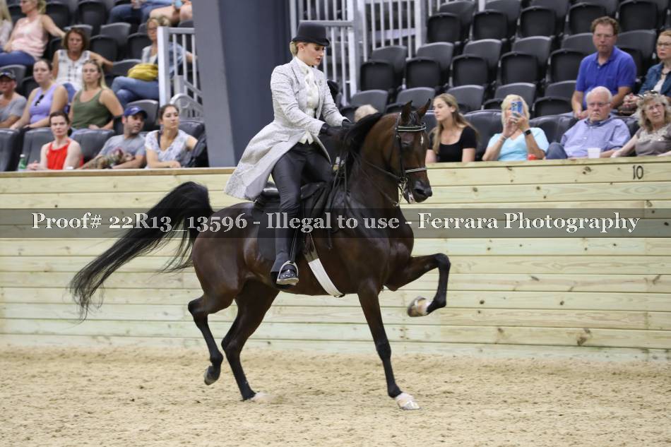 Proof 22R13_13596