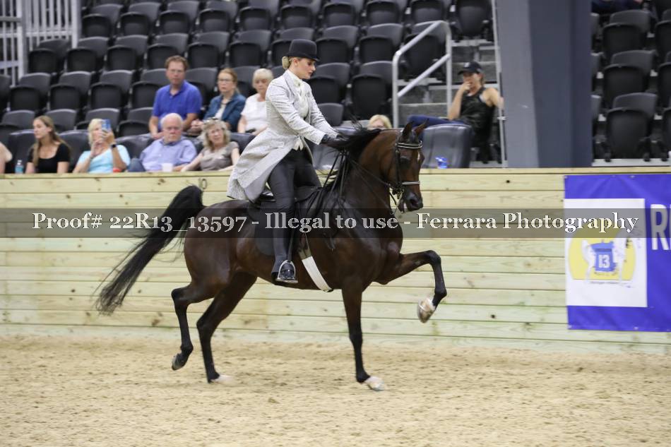 Proof 22R13_13597