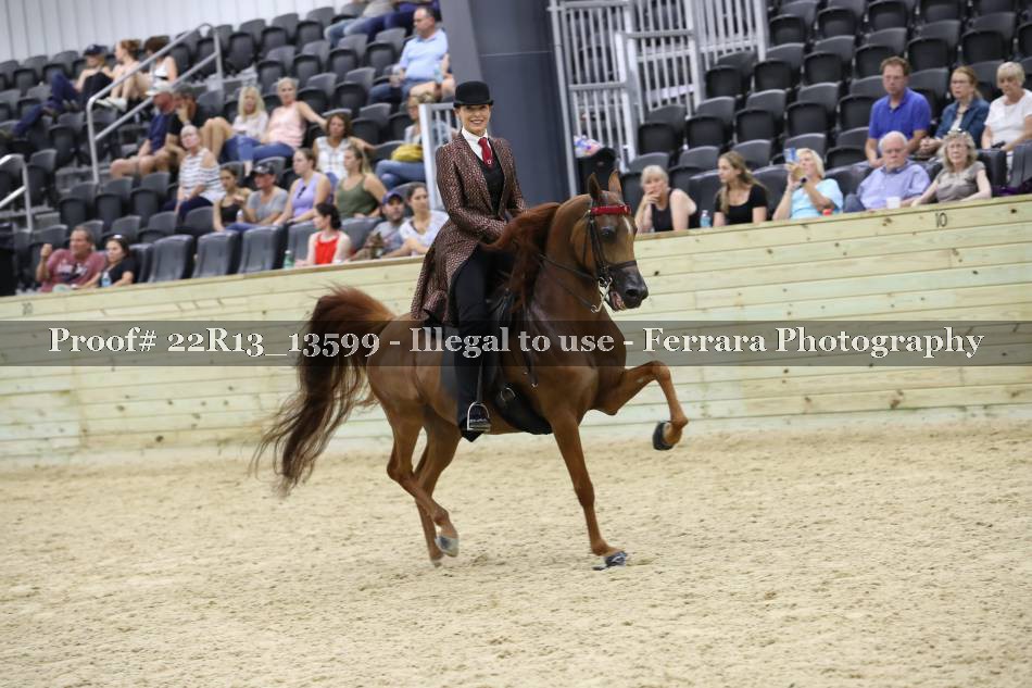 Proof 22R13_13599