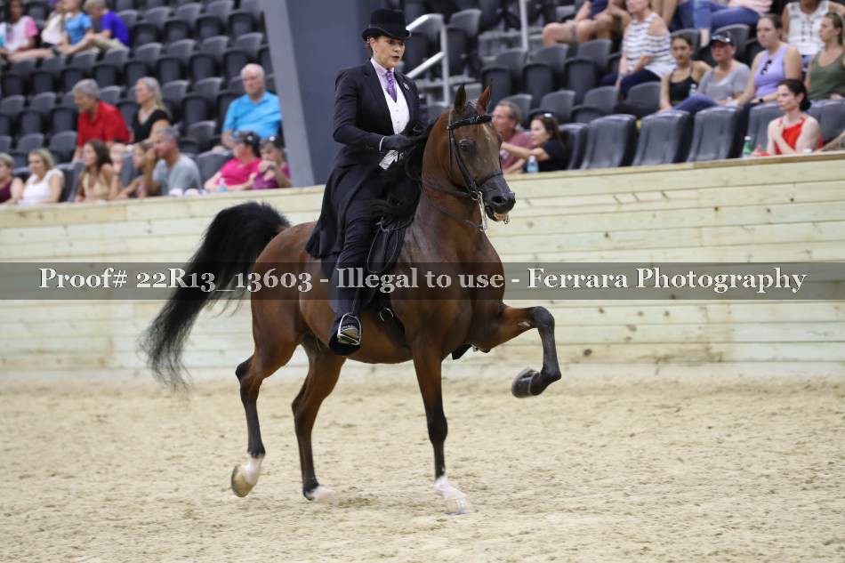 Proof 22R13_13603