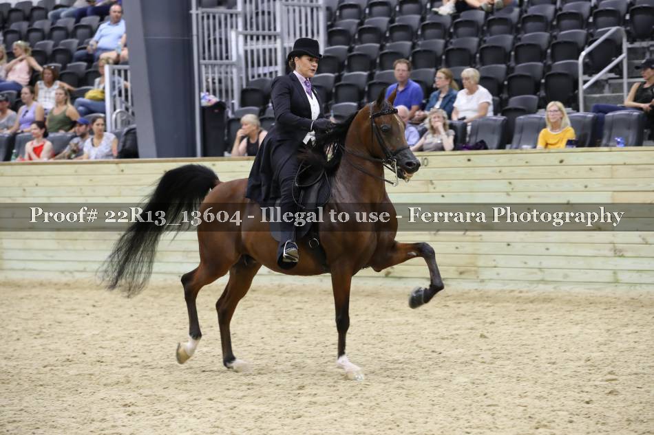 Proof 22R13_13604