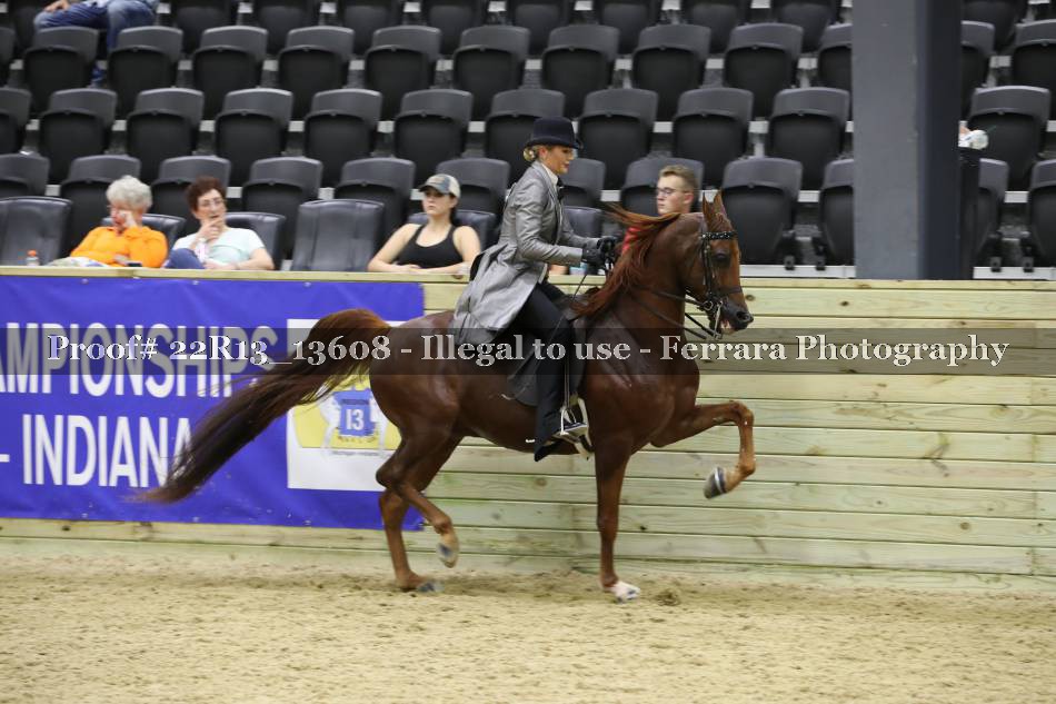 Proof 22R13_13608