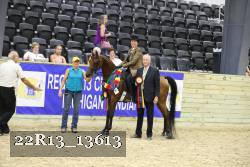 22R13_13613 proof