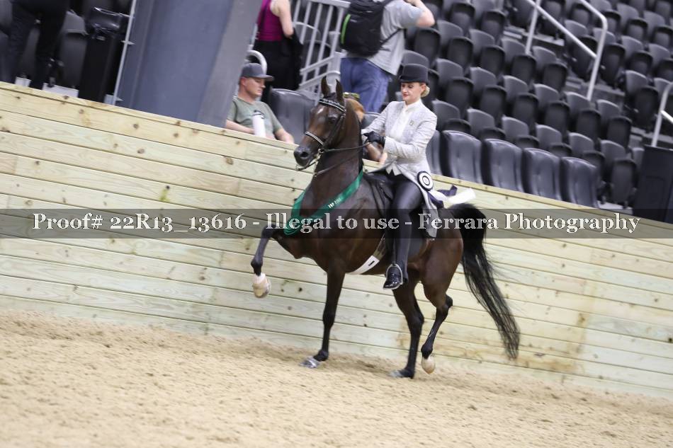 Proof 22R13_13616