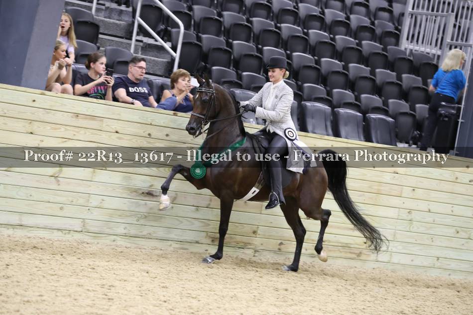 Proof 22R13_13617