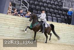 22R13_13617 proof
