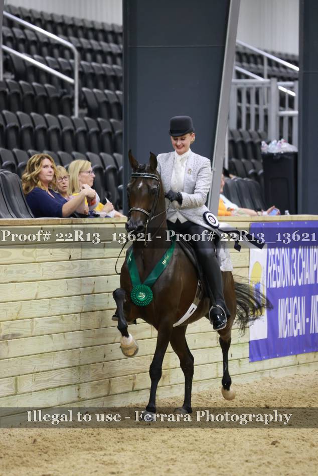 Proof 22R13_13621