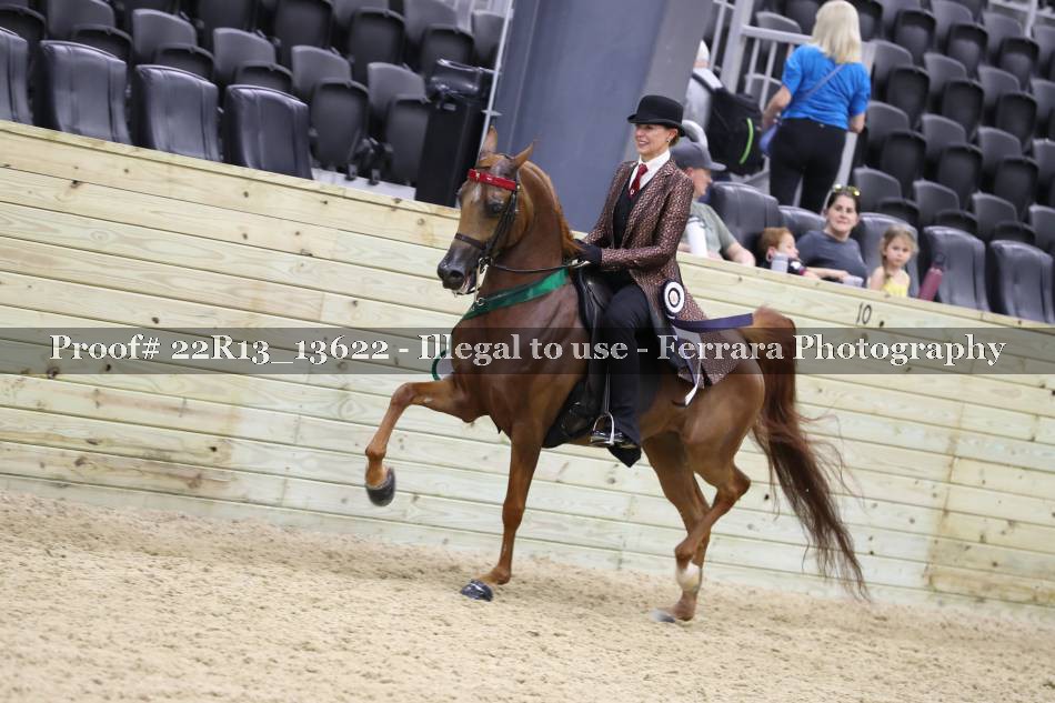 Proof 22R13_13622