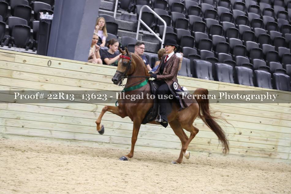 Proof 22R13_13623