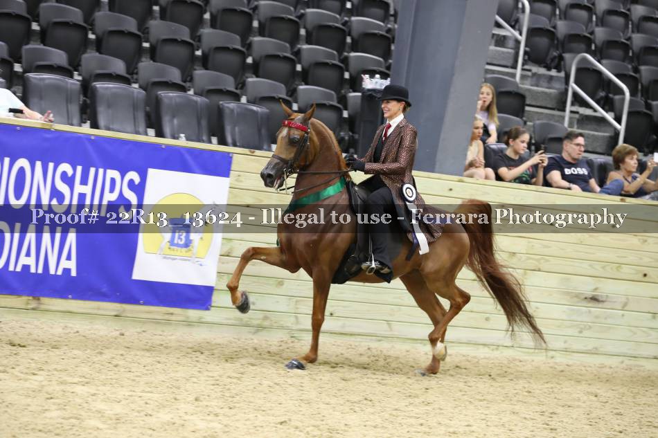 Proof 22R13_13624