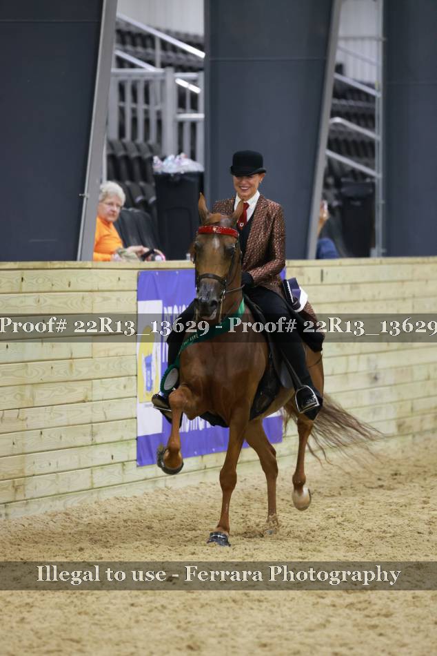 Proof 22R13_13629