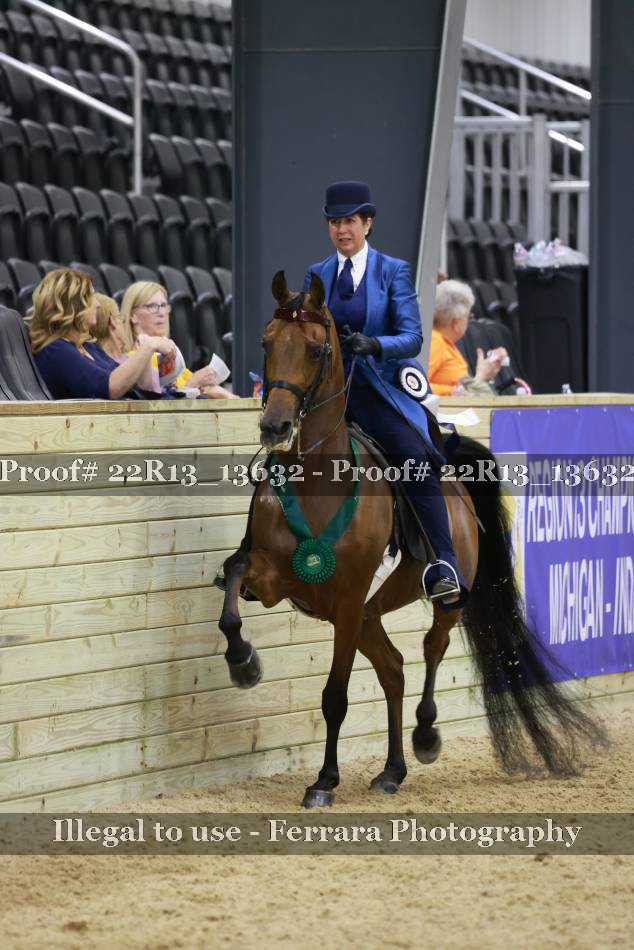 Proof 22R13_13632