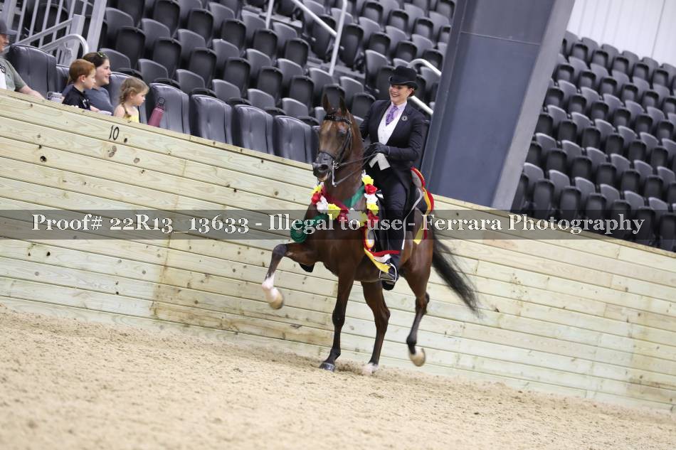 Proof 22R13_13633