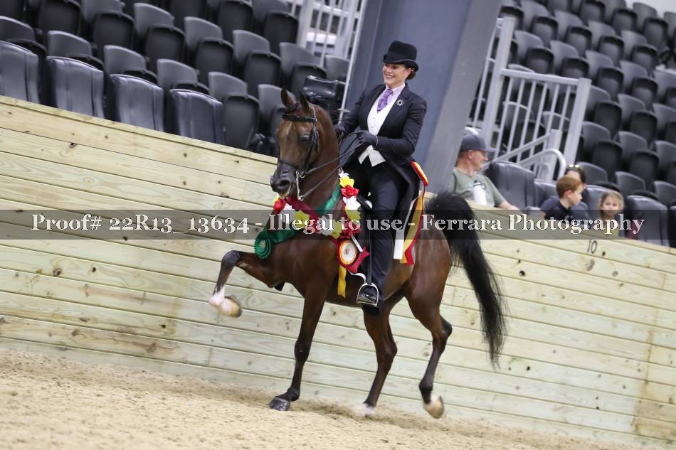 Proof 22R13_13634