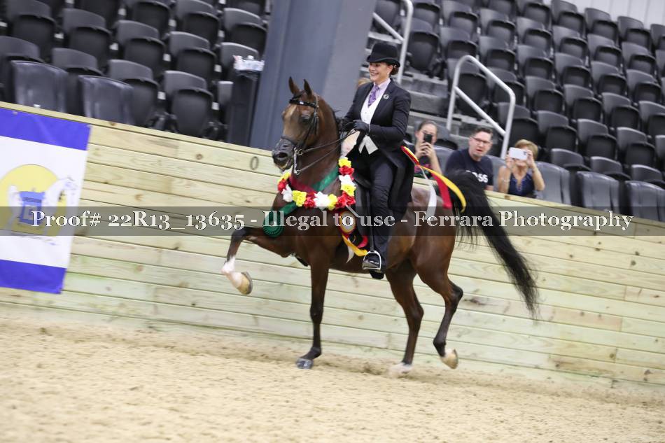 Proof 22R13_13635