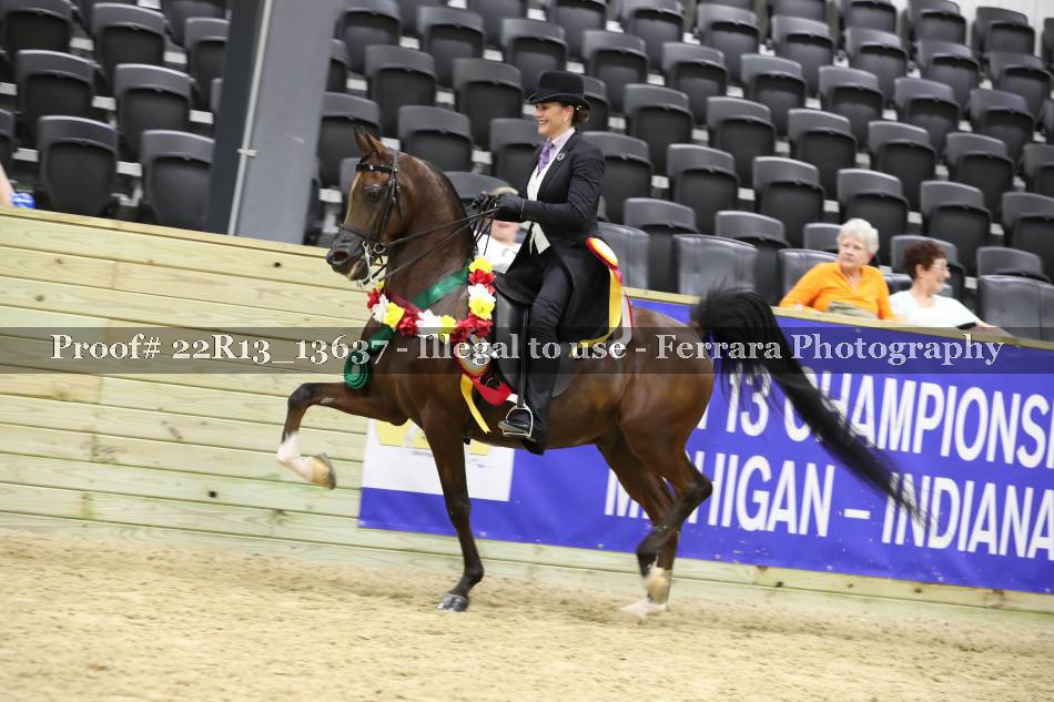 Proof 22R13_13637