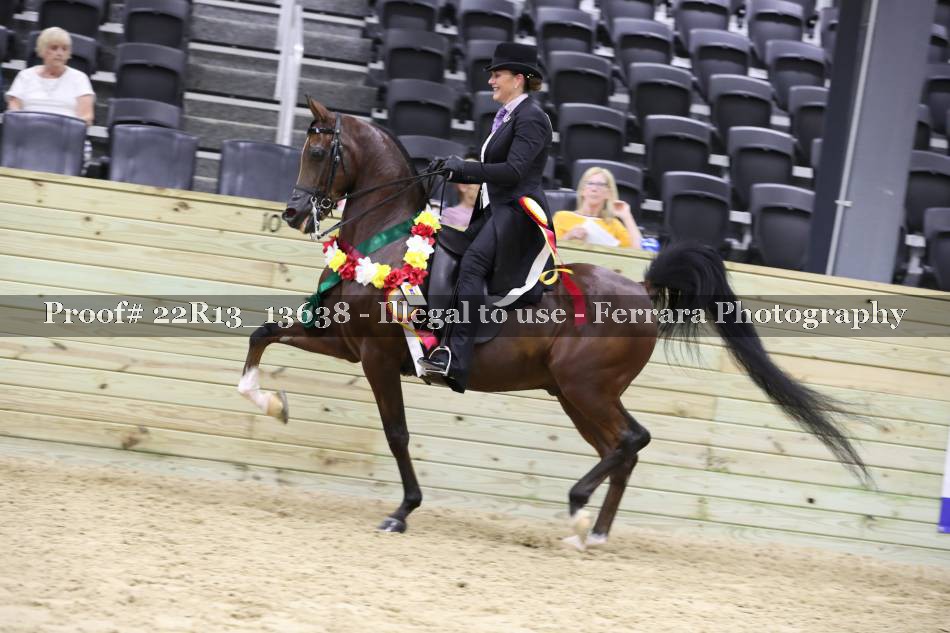 Proof 22R13_13638