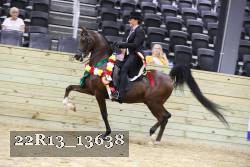 22R13_13638 proof
