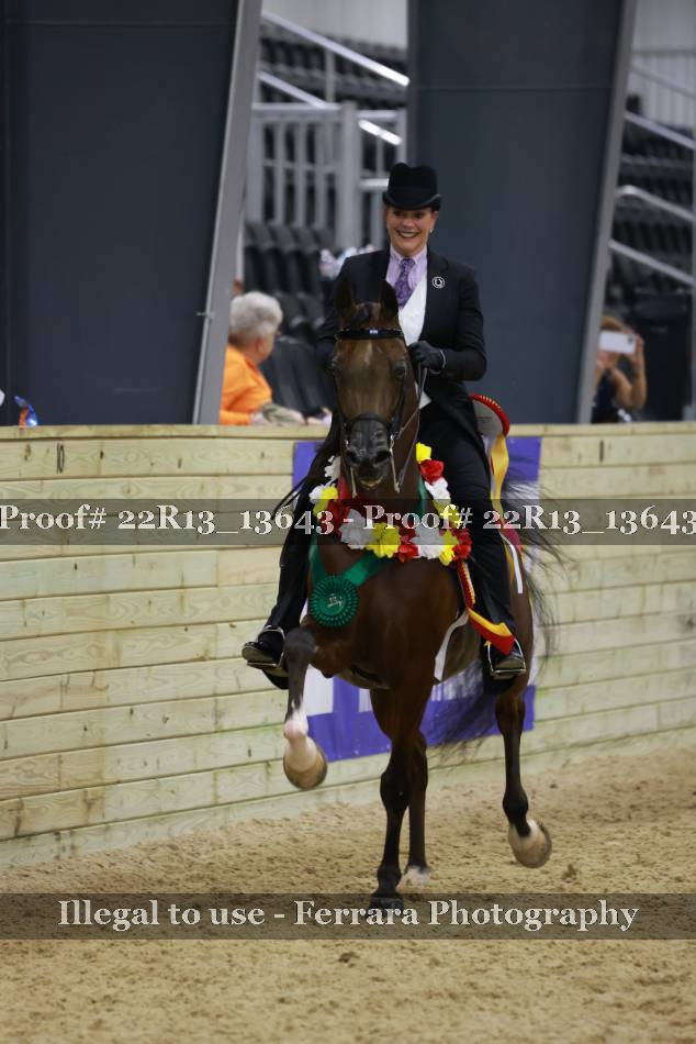 Proof 22R13_13643