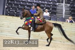 22R13_13644 proof