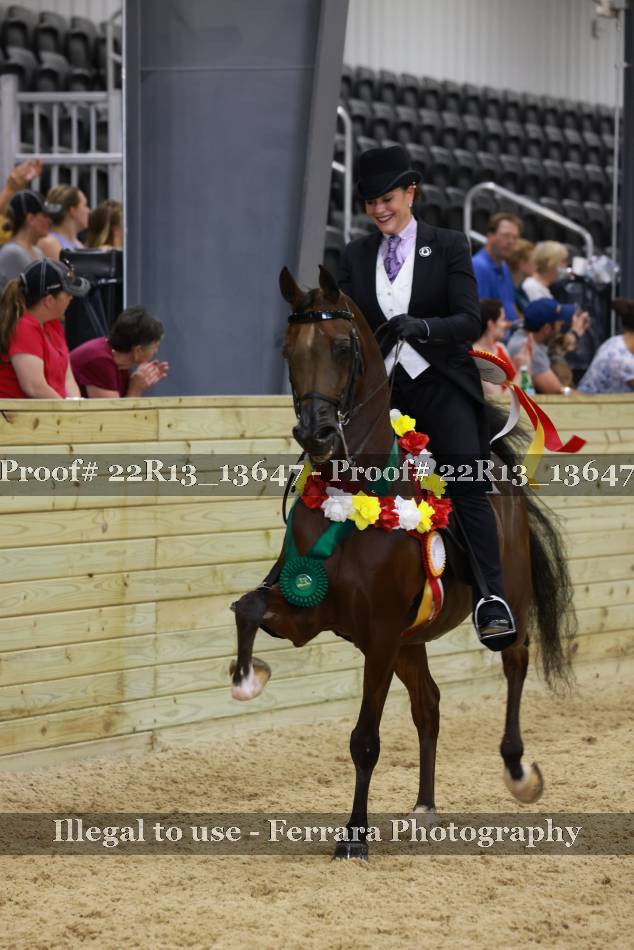Proof 22R13_13647