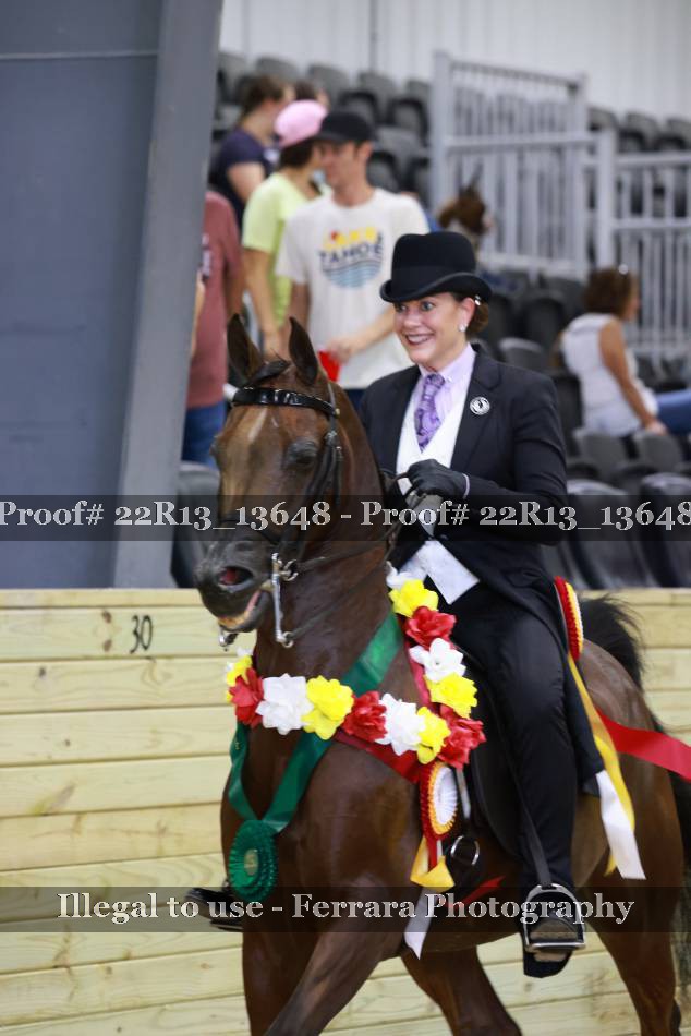 Proof 22R13_13648