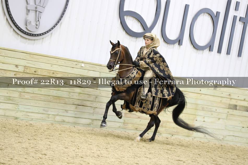 Proof 22R13_11829