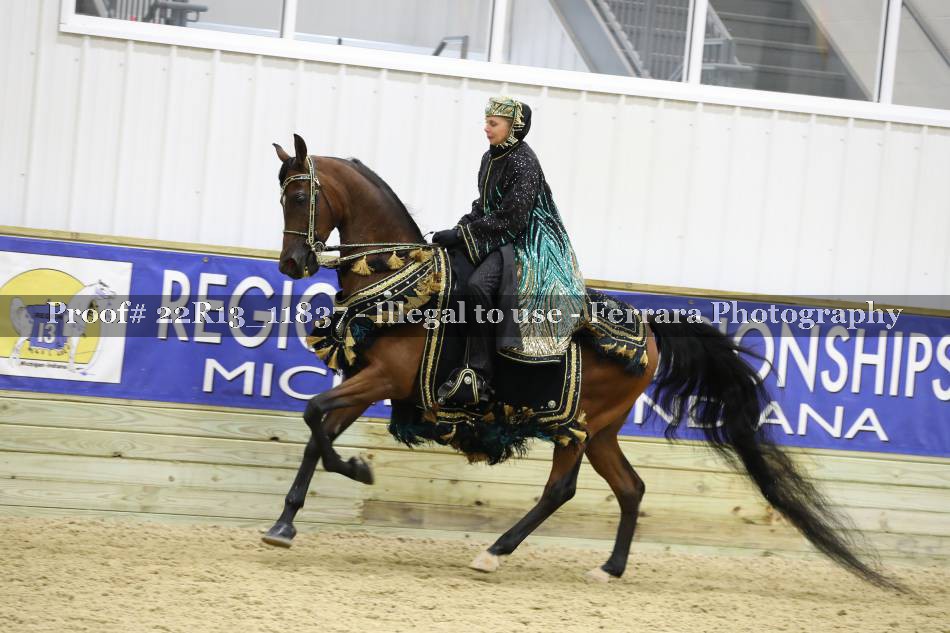 Proof 22R13_11837